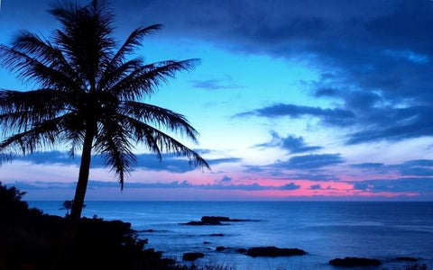 Image of Diamond painting of a palm tree silhouetted against a vibrant sunset over the ocean.