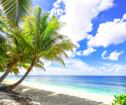 Image of Diamond painting of a tropical beach with palm trees and clear blue water