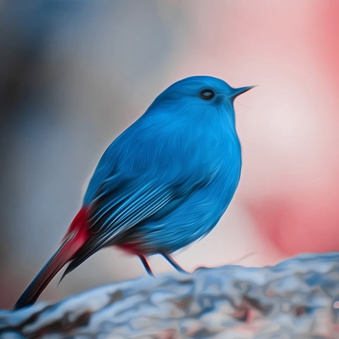 Image of A vibrant diamond painting of a small blue bird with a reddish-brown tail.