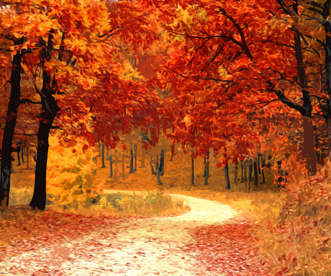 Image of Diamond painting of a scenic autumn forest path with colorful leaves.