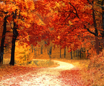 Diamond painting of a scenic autumn forest path with colorful leaves.