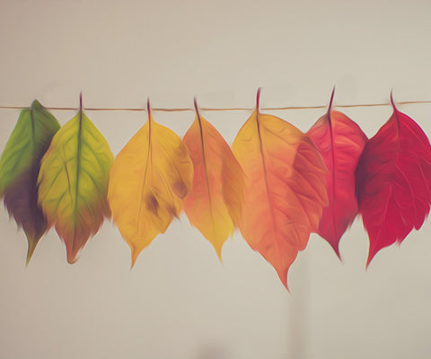 Image of A diamond painting of colorful autumn leaves hanging on a string, showcasing the transition from green to yellow, orange, and red.