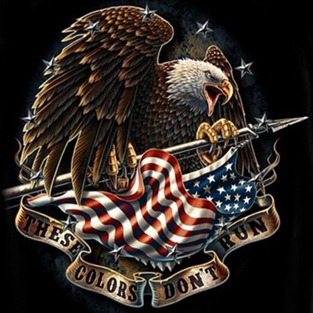 DIY diamond painting featuring a bald eagle and the patriotic message "These Colors Don't Run."