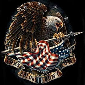 DIY diamond painting featuring a bald eagle and the patriotic message "These Colors Don't Run."