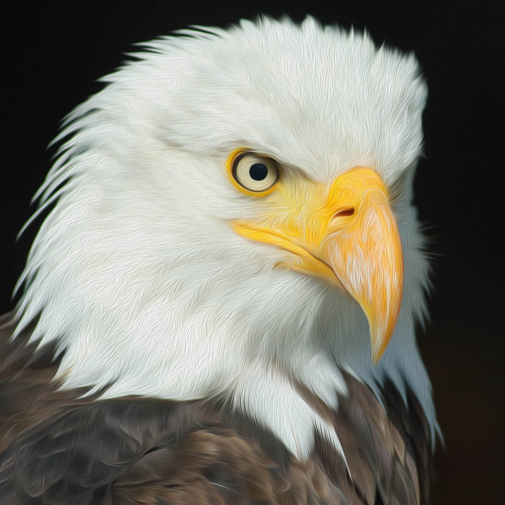 Diamond Painting of a Bald Eagle with a Sharp Gaze