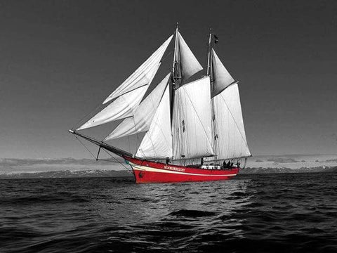Image of Black and white photo of a red sailboat on the water.