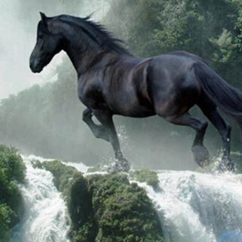 Image of Diamond painting of a majestic black horse standing on a rock next to a powerful waterfall, surrounded by lush greenery.