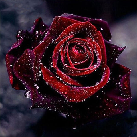 Image of Diamond painting of a single, dark red rose with water droplets