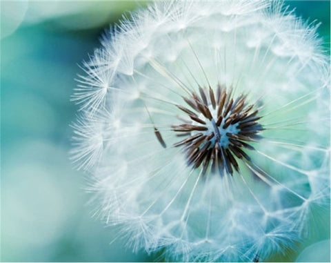 Image of iamond painting of a vibrant blue dandelion against a blue background.