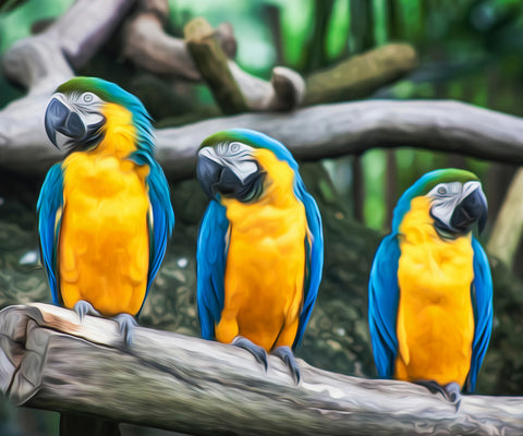 Image of Diamond painting of three blue and yellow macaws perched together on a tree branch.