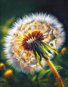 Close-up diamond painting of a dandelion puffball with seeds, creating a serene and calming effect.
