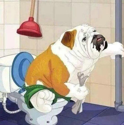 Image of Diamond painting kit featuring a cartoon bulldog sitting on a toilet, pooping. 