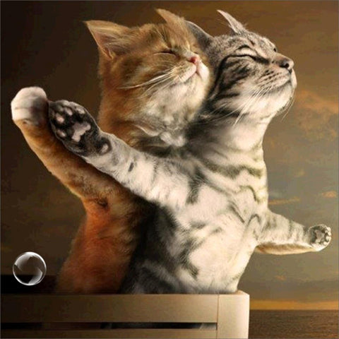 Image of Diamond painting of two cats posing in a Titanic-inspired pose, with one cat holding the other's paw.