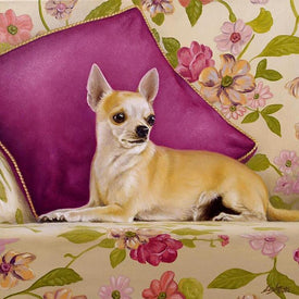 Diamond painting of a Chihuahua relaxing on a comfy couch.