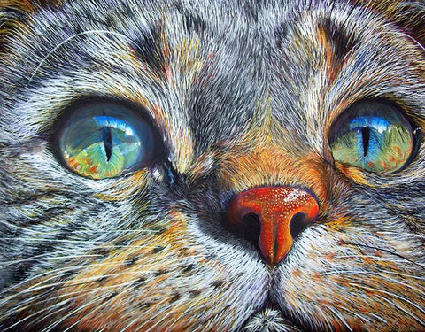 Image of Diamond painting of a cat's face with expressive eyes and detailed fur.