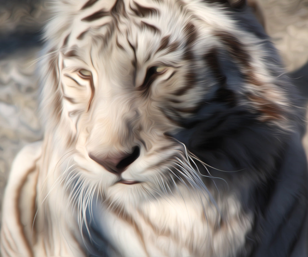 Close Up of a White Tiger's Face diamond painting