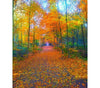 Diamond painting of a vibrant autumn forest with a winding path covered in colorful leaves.