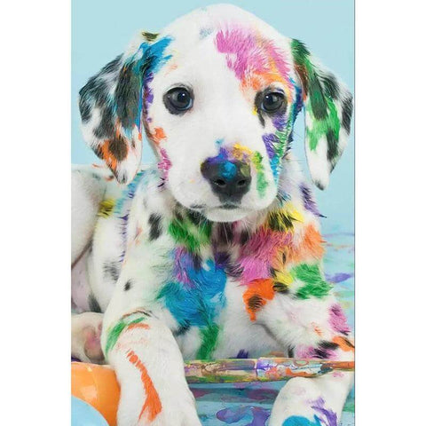 Image of Diamond painting of a colorful Dalmatian puppy with paint splatters