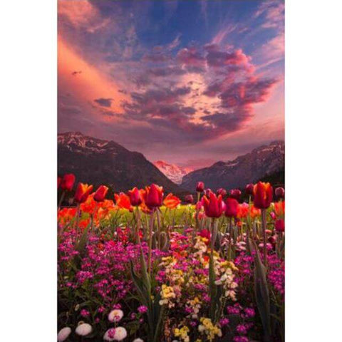 Image of Diamond Painting of a Colorful Sunset Over a Field of Tulips and Mountains