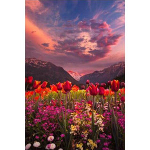 Diamond Painting of a Colorful Sunset Over a Field of Tulips and Mountains