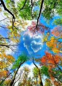 Image of Diamond Painting of Colorful Trees Framing a Heart-Shaped Cloud