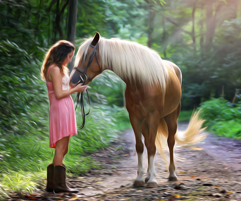 Image of Diamond Painting of Country Girl Holding Horse in Forest