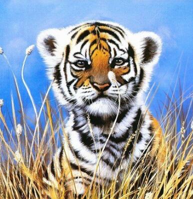 Image of Bengal Tiger Cub Peeking Through Tall Grass Diamond Painting