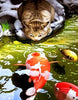 Diamond painting of a curious cat staring at a koi fish in a pond.