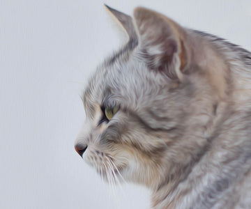 Diamond painting of a cute cat with grey and white fur