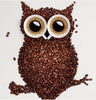 Diamond painting of a 3D coffee bean owl with realistic shading and details