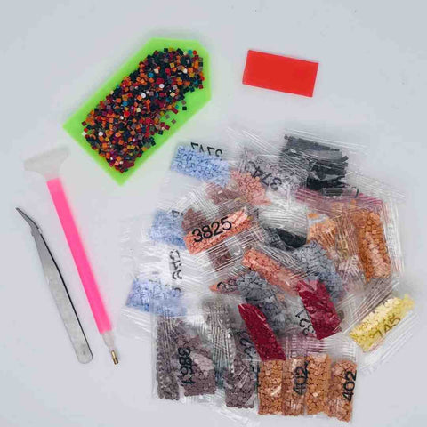 Image of Assorted diamond painting accessories including resin diamonds, tweezers, a pen tool, a wax pad, and sorting tray on a white background