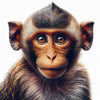 Diamond painting of an adorable baby monkey