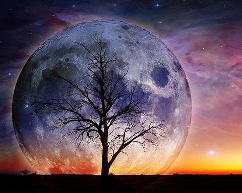 Image of diamond painting of a large, colorful moon with a tree in the foreground