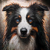 Diamond painting of a Border Collie dog with stunning blue eyes.