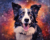 Diamond painting of a Border Collie dog portrait