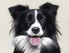Diamond painting of a playful Border Collie dog