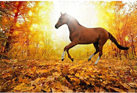 Image of Diamond painting of a brown horse with a black mane standing in a peaceful forest clearing with sunlight dappling the ground.