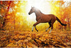 Diamond painting of a brown horse with a black mane standing in a peaceful forest clearing with sunlight dappling the ground.