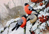 diamond painting of bullfinches on a snowy branch