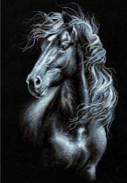 Image of Diamond painting of a black stallion