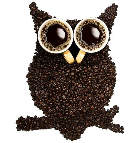 Image of Diamond painting of a whimsical owl created from coffee beans and coffee cups.