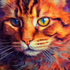 Diamond painting of a colorful cat's face with blue eyes