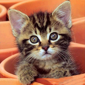 diamond painting of a cute tabby kitten in a flower pot