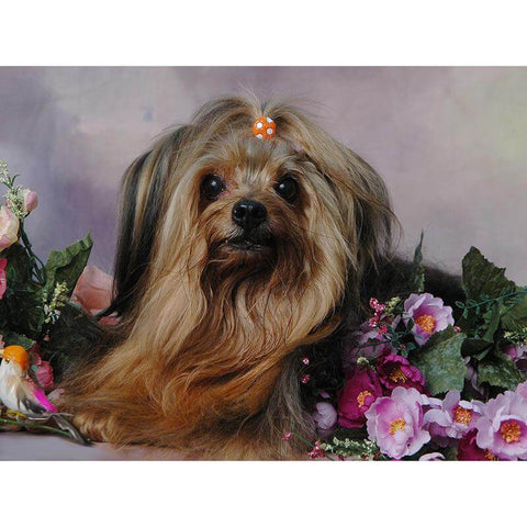 Image of diamond painting of a cute Yorkshire Terrier puppy with flowers