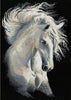 Sparkling Diamond Painting of a Graceful Dancing Horse