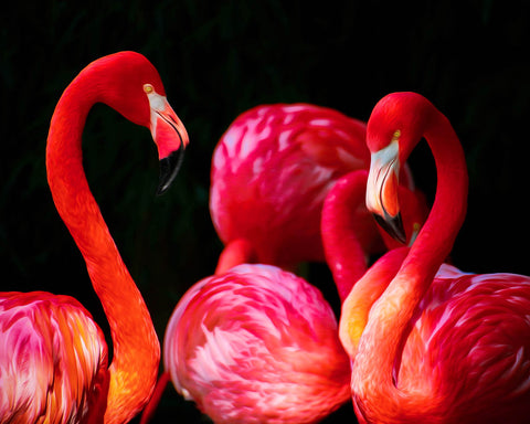 Image of A diamond painting of a flock of pink flamingos standing together.