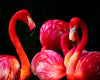 A diamond painting of a flock of pink flamingos standing together.