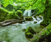 diamond painting of a forest waterfall