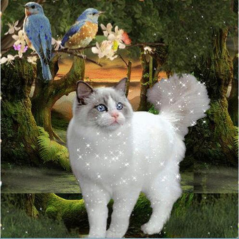 Image of diamond painting of a glittering white ragdoll cat