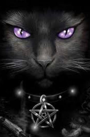 Image of diamond painting of a gothic black cat with a pentagram necklace